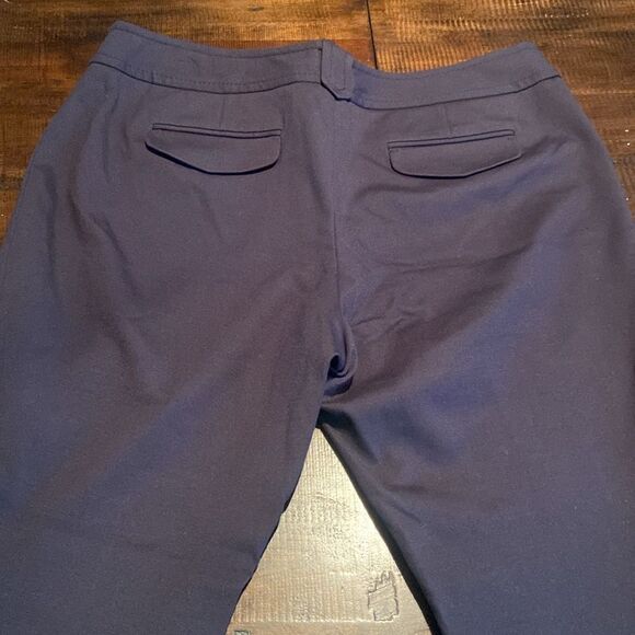 Ladies Ann Taylor Lindsey Dress Pant Size 12 Business Casual - Picture 5 of 6